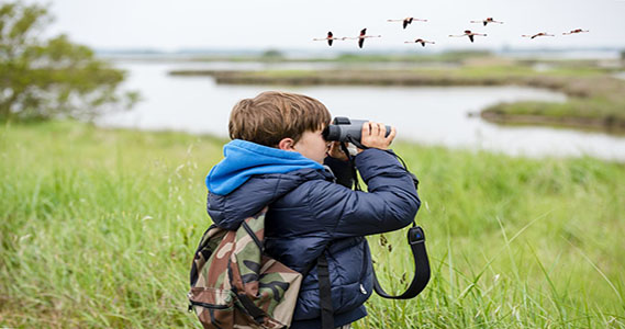 Bird-watching