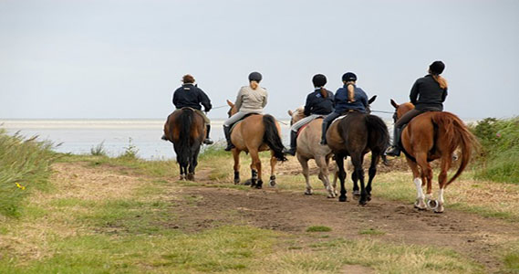 Horseback tours