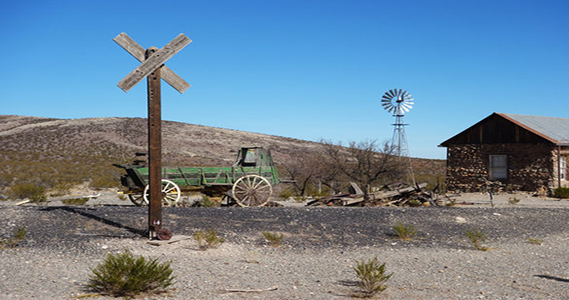 Horseback tours