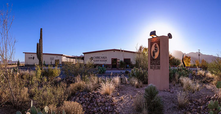 Chiricahua Desert museum